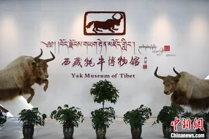 तिब्बती याक संग्रहालय की स्थापना की 10वीं वर्षगांठ मनाई गई